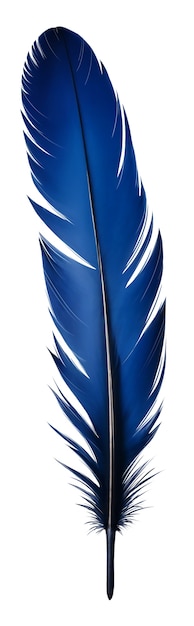 Pluma delicada aislada
