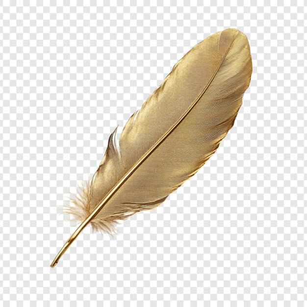 La pluma dorada una captura lujosa y elegante