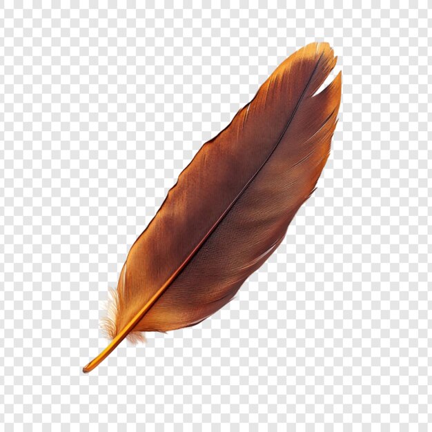 Pluma marrón Una imagen en primer plano de una sola pluma de pájaro