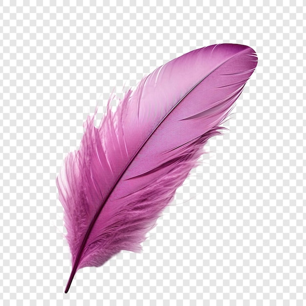 Imágenes de Plumas Colores - Descarga gratuita en Freepik