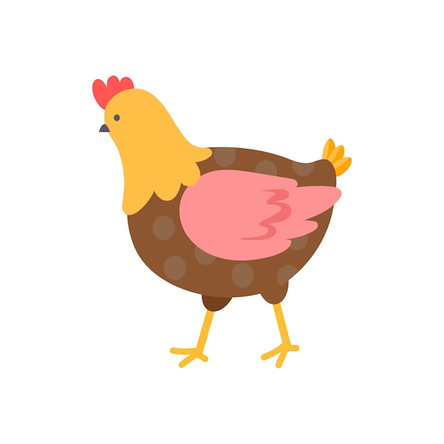 pollo de diseño plano aislado