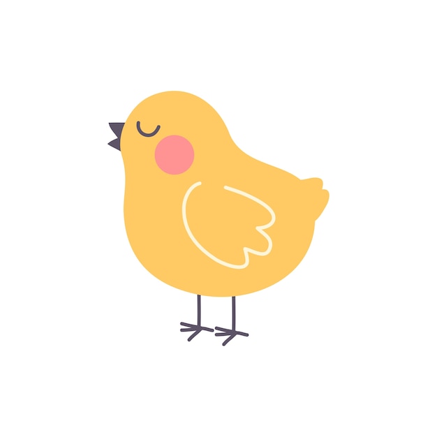 pollo de diseño plano aislado