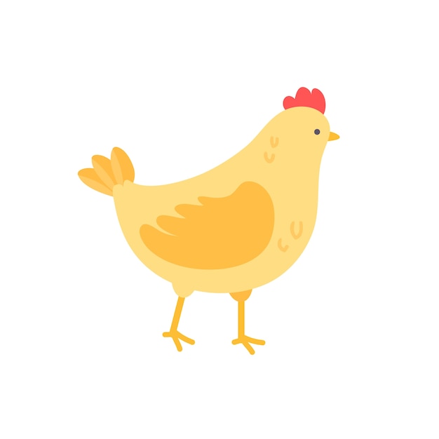 pollo de diseño plano aislado