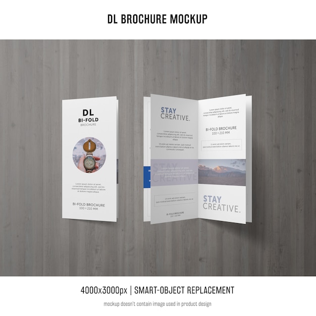 Gratis PSD portret dl brochure mockup