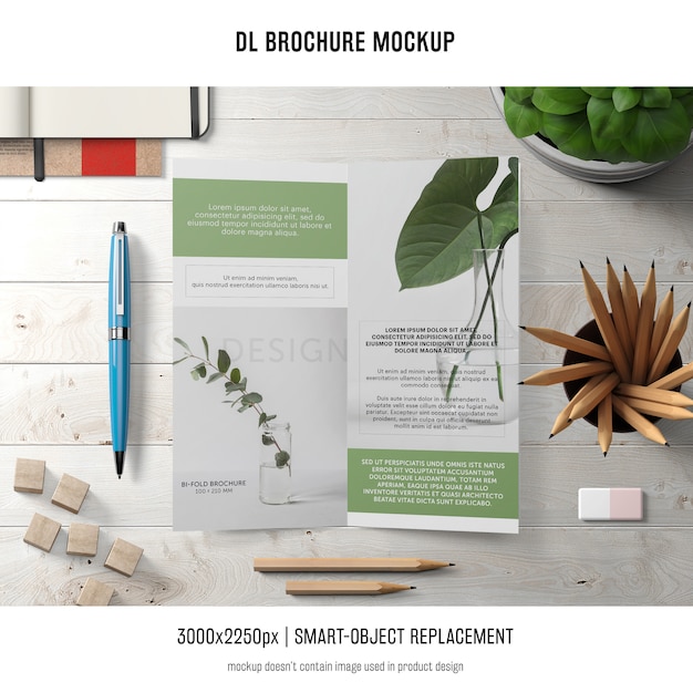 Gratis PSD portret dl brochure mockup