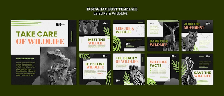 PSD gratuito post di instagram per il tempo libero e la fauna selvatica