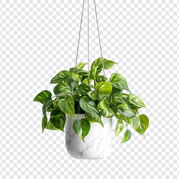 PSD gratuito pothos dorados colgados en macetas de mármol en la exuberante vegetación interior