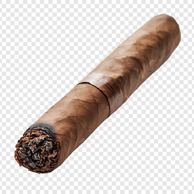 Un primer plano de un cigarro parcialmente fumado