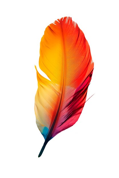 Un primer plano de las plumas aisladas