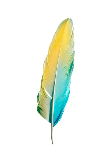 Un primer plano de las plumas aisladas
