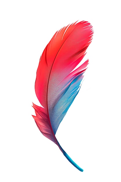 Un primer plano de las plumas aisladas