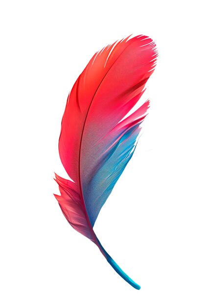 Un primer plano de las plumas aisladas
