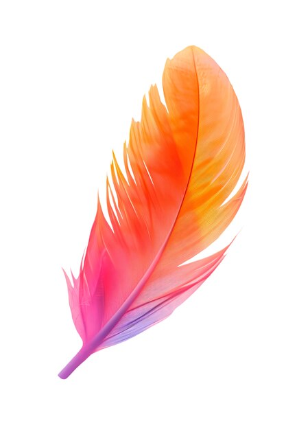 Un primer plano de las plumas aisladas
