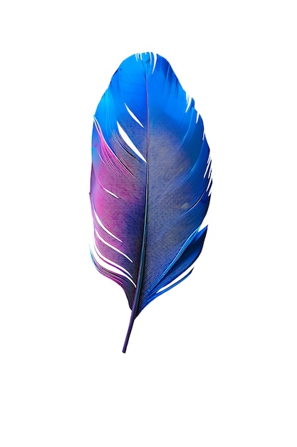 Un primer plano de las plumas aisladas