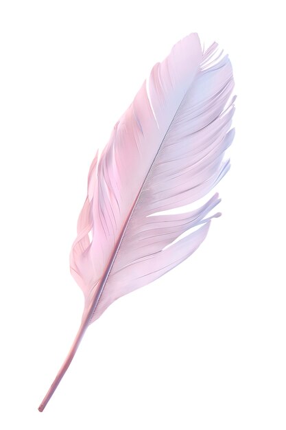Un primer plano de las plumas aisladas