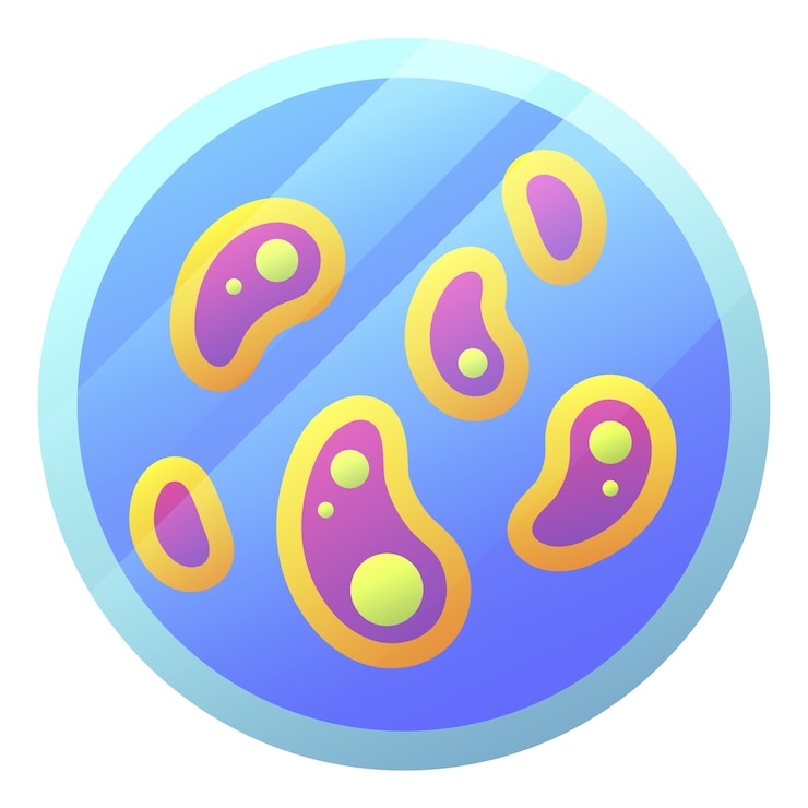 PSD gratuito progettazione del telaio scientifico
