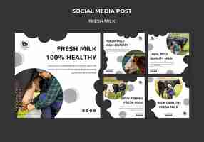 PSD gratuito publicaciones en redes sociales sobre leche fresca