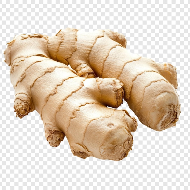 La raíz de jengibre fresca es una delicia culinaria y medicinal