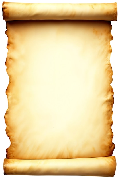 Realistisch gerold perkamentpapier geïsoleerd