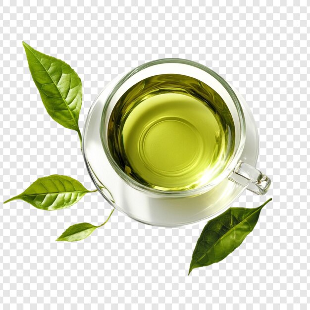 El refrescante té verde es una taza perfecta para la calma
