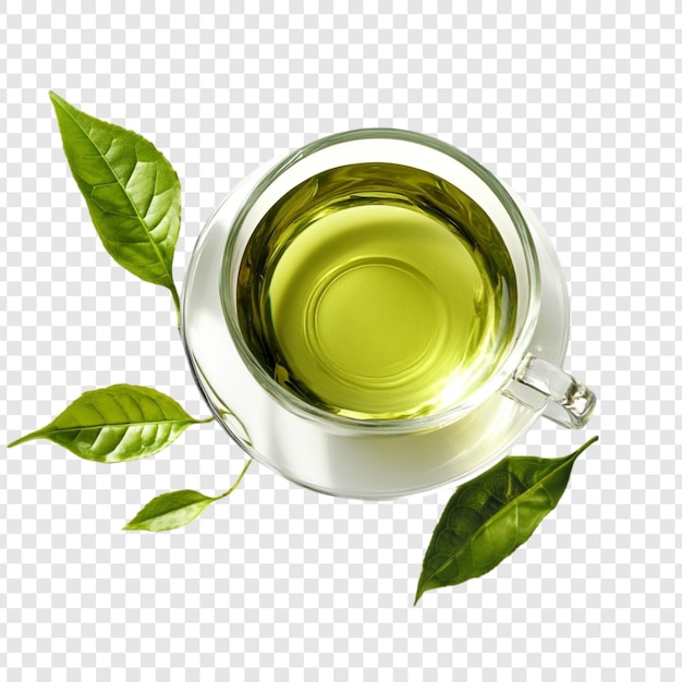 El refrescante té verde es una taza perfecta para la calma