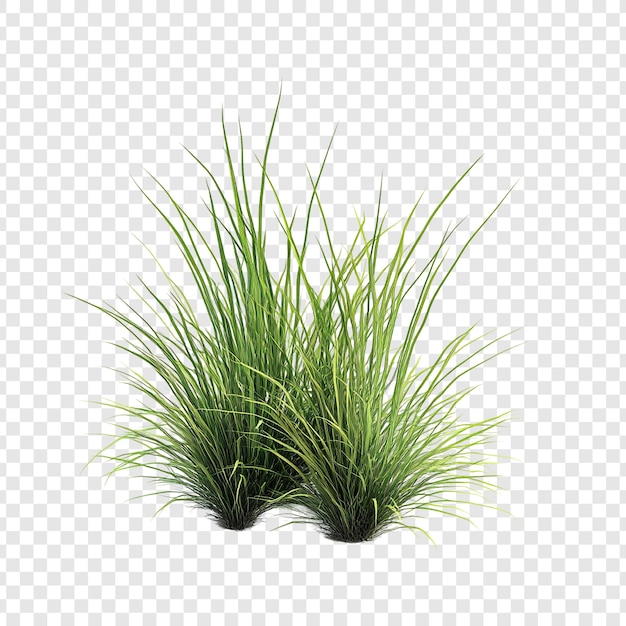 Renderizado en 3D aislado de un tufón de hierba verde exuberante
