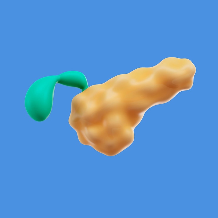 PSD gratuito representación 3d del icono del cuerpo humano