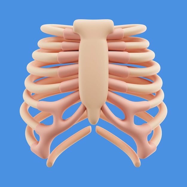 Representación 3D del icono del cuerpo humano