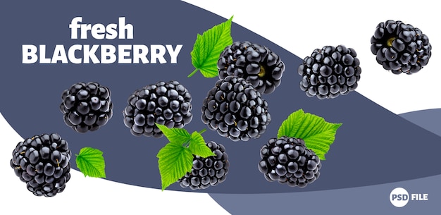 Rijpe blackberry-banner