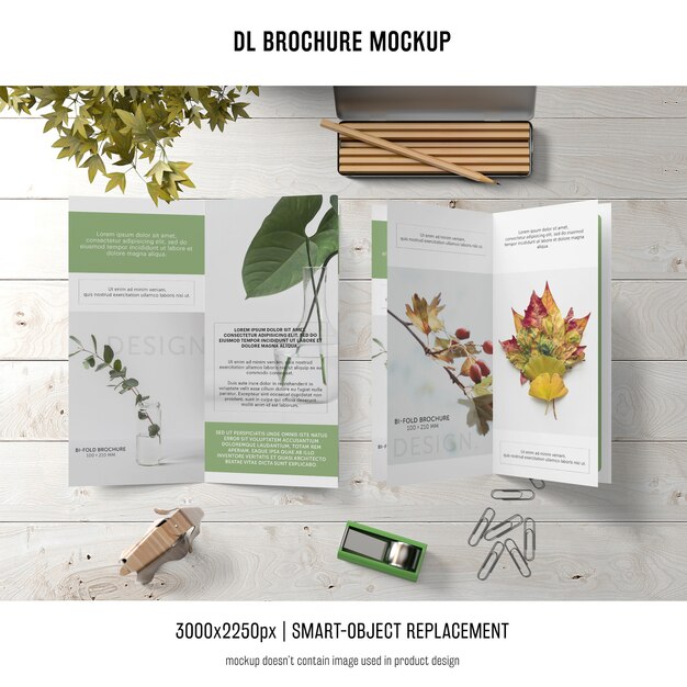 Ritratto DL Brochure Mockup