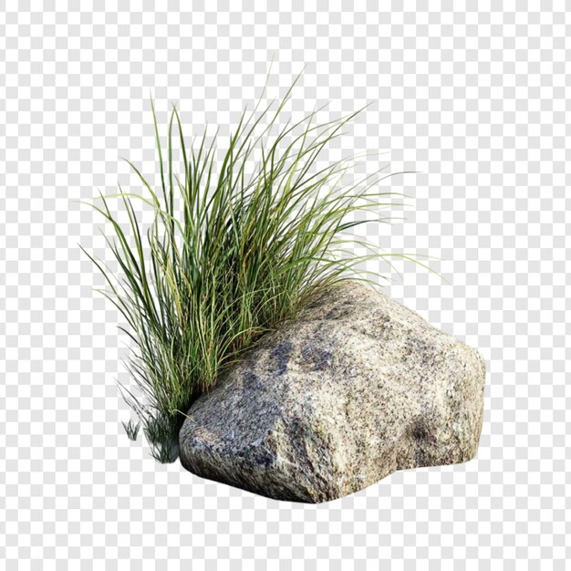 Roca aislada con hierba Elemento de la naturaleza 3D Renderización realista de la textura de la hierba Textura de la piedra Imagen de alta resolución