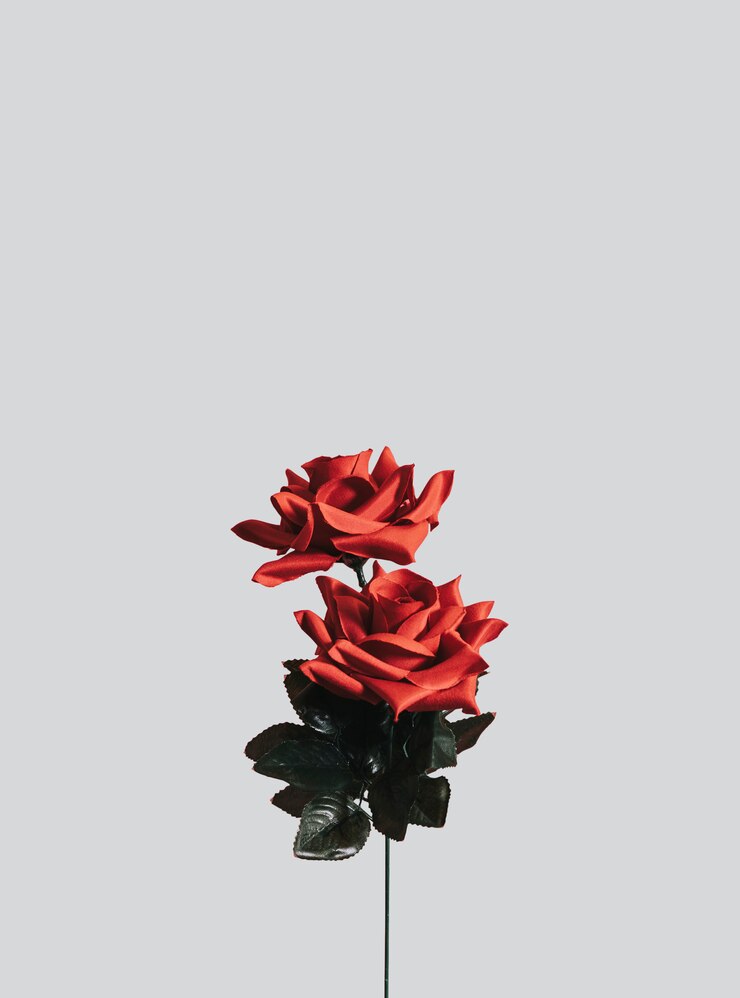 PSD gratuito rosas rojas artificiales