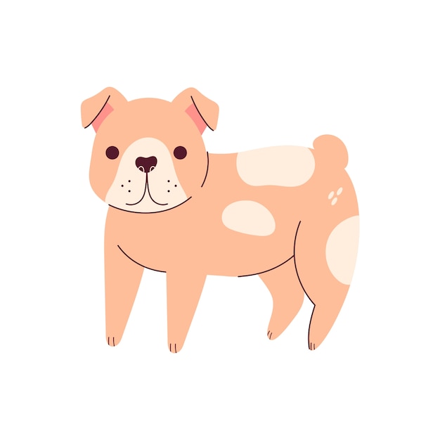 Schattige hond geïsoleerd