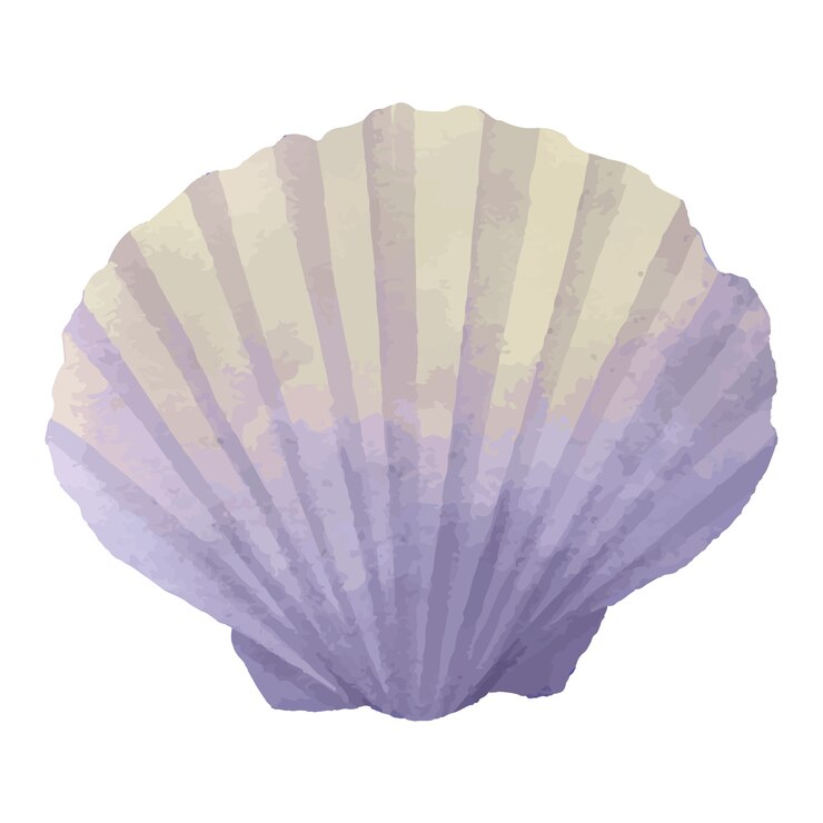 PSD gratuito seashell seafood illustration design