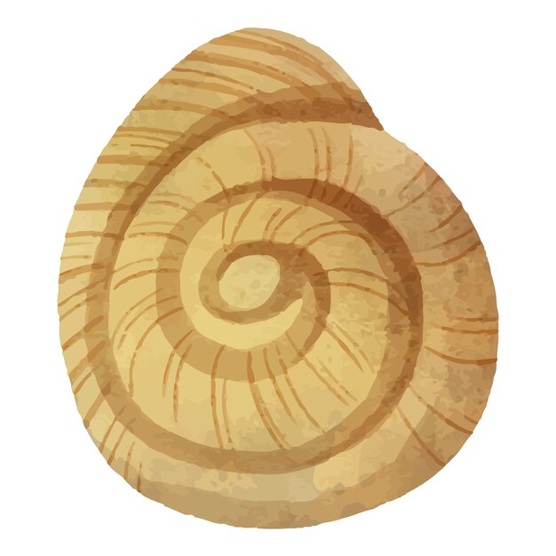 Seashell seafood illustration design