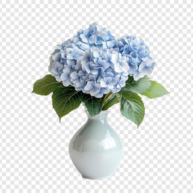 Serenas hortensias azules en un jarrón de porcelana