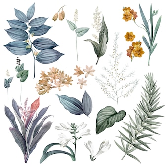 Set van bloemen en plantenillustraties