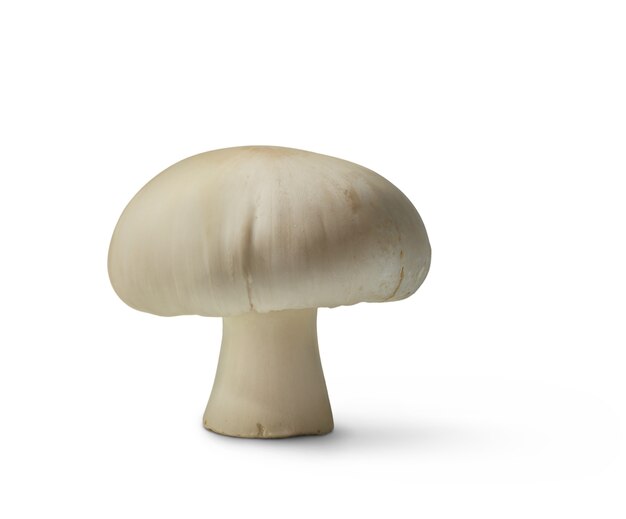 setas aisladas