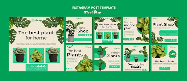 Gratis PSD sjabloon voor instagram-posts voor plantenverzorging