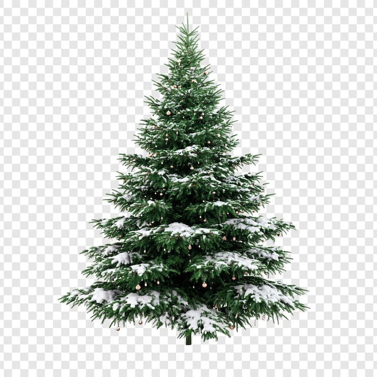 Gratis PSD sneeuw bedekte kerstboom feestelijke winter vakantie seizoen
