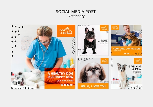 Gratis PSD social media post met veterinaire sjabloon