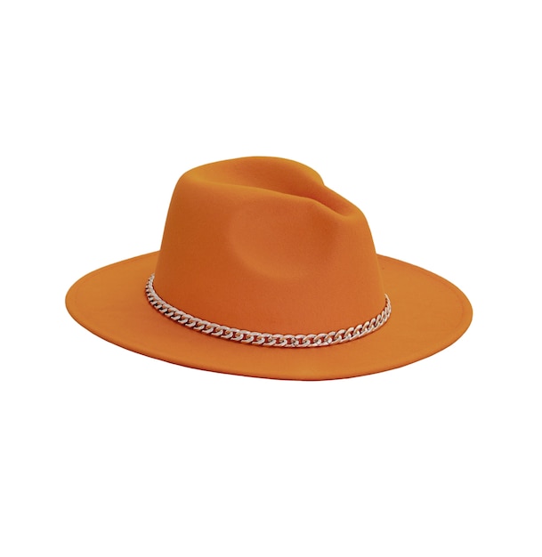 Sombrero de moda aislado