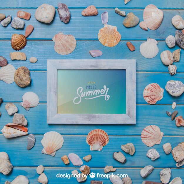 Tema de verano con conchas y marco