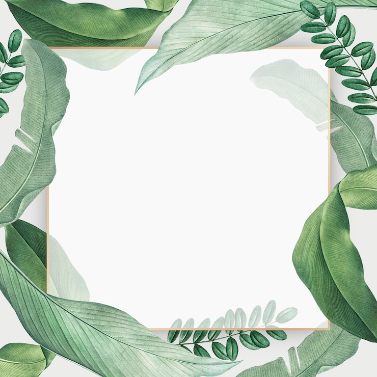 Gratis PSD tropische paradijskaart