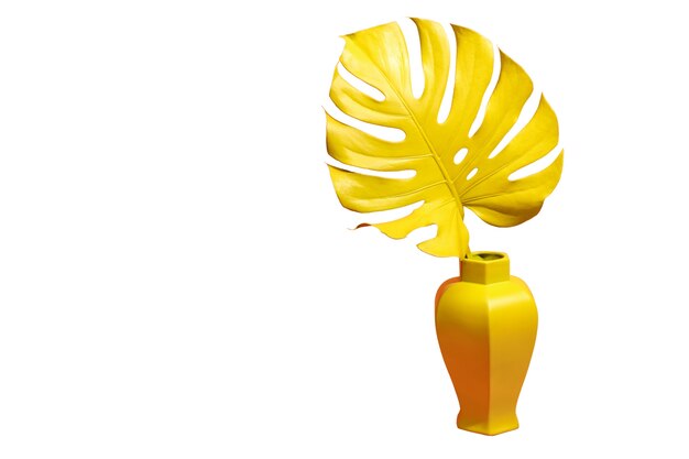 Uitzicht op prachtig veelkleurig blad