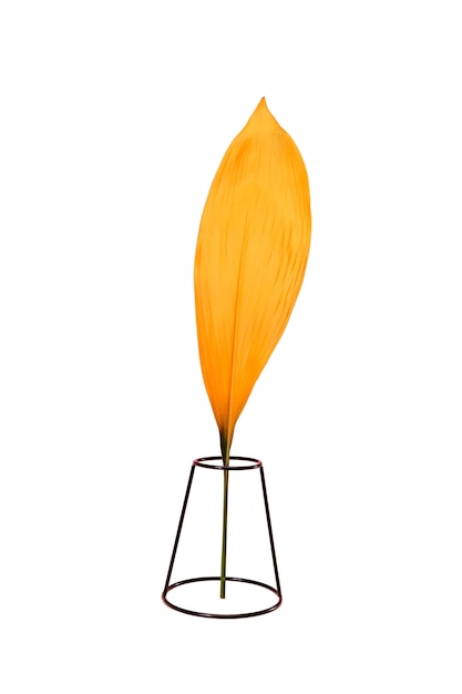 Uitzicht op prachtig veelkleurig blad