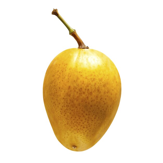 Un delizioso mango in studio.