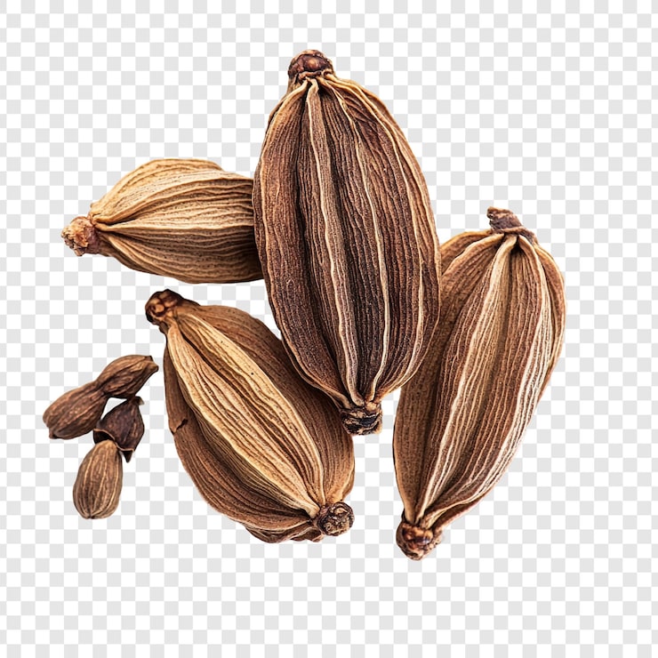 PSD gratuito las vainas aromáticas de cardamomo tienen un sabor a especia y una delicia culinaria