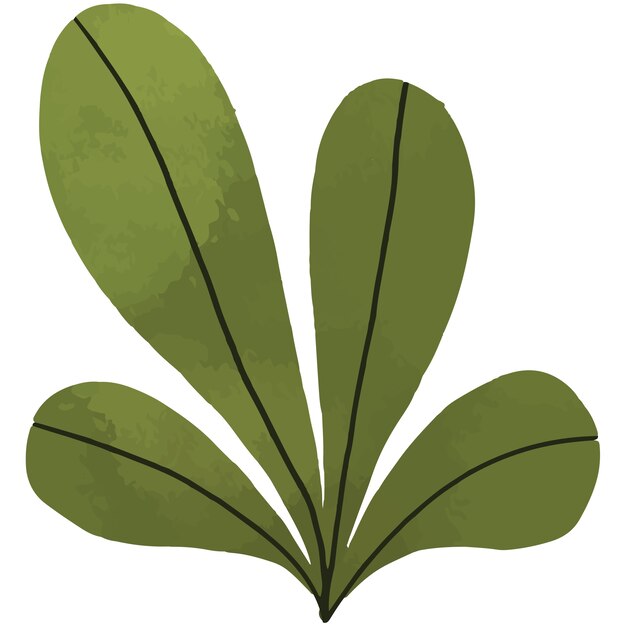 Vegetación natural y elemento botánico