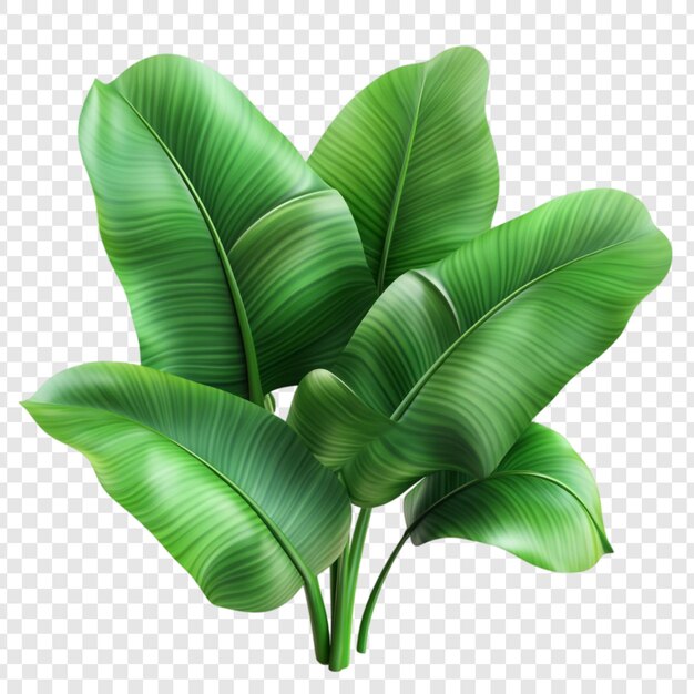 El verde exuberante de las hojas tropicales el vibrante paisaje de la naturaleza el tranquilo paraíso